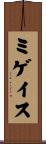 ミゲイス Scroll