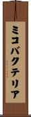 ミコバクテリア Scroll