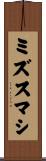 ミズスマシ Scroll
