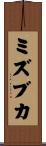 ミズブカ Scroll