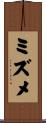 ミズメ Scroll