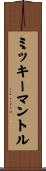 ミッキーマントル Scroll