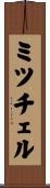Mitchell Scroll
