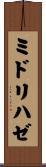 ミドリハゼ Scroll