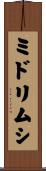 ミドリムシ Scroll