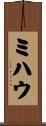 ミハウ Scroll