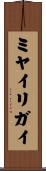 ミヤイリガイ Scroll