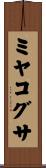 ミヤコグサ Scroll