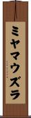 ミヤマウズラ Scroll