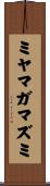 ミヤマガマズミ Scroll