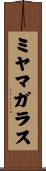 ミヤマガラス Scroll