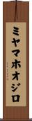 ミヤマホオジロ Scroll