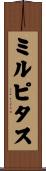 ミルピタス Scroll