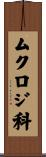 ムクロジ科 Scroll