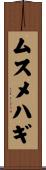 ムスメハギ Scroll