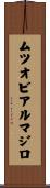 ムツオビアルマジロ Scroll