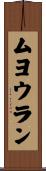 ムヨウラン Scroll