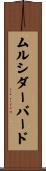 ムルシダーバード Scroll