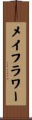 メイフラワー Scroll