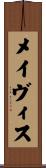 メイヴィス Scroll