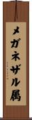 メガネザル属 Scroll