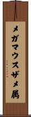 メガマウスザメ属 Scroll