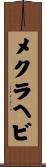 メクラヘビ Scroll