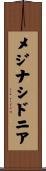 メジナシドニア Scroll