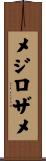 メジロザメ Scroll