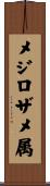 メジロザメ属 Scroll