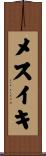 メスイキ Scroll