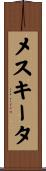 メスキータ Scroll