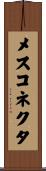 メスコネクタ Scroll