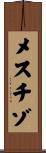 メスチゾ Scroll