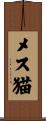 メス猫 Scroll