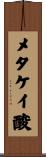 メタケイ酸 Scroll