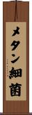 メタン細菌 Scroll
