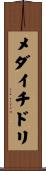 メダイチドリ Scroll