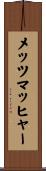 メッツマッヒャー Scroll