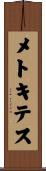 メトキテス Scroll