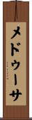 メドゥーサ Scroll