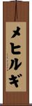 メヒルギ Scroll