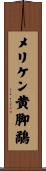 メリケン黄脚鷸 Scroll