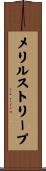 メリルストリープ Scroll
