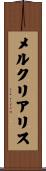 メルクリアリス Scroll