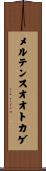 メルテンスオオトカゲ Scroll