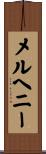 McElhenney Scroll