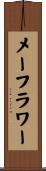 メーフラワー Scroll