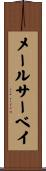 メールサーベイ Scroll