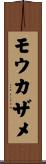 モウカザメ Scroll